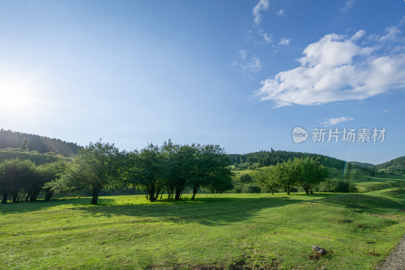 重庆市武隆区仙女山国家森林公园