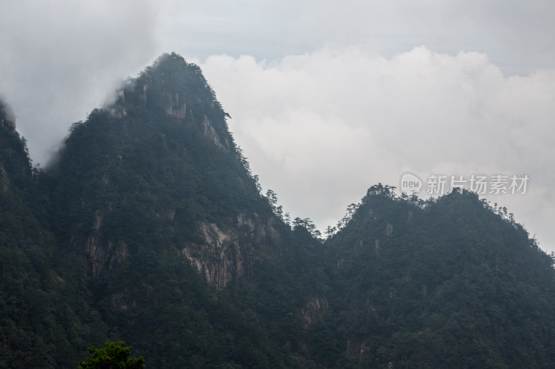 云海中的大明山