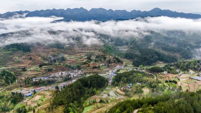 重庆酉阳：青山雾漫别样美