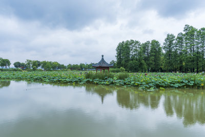 武汉东湖磨山景区风光