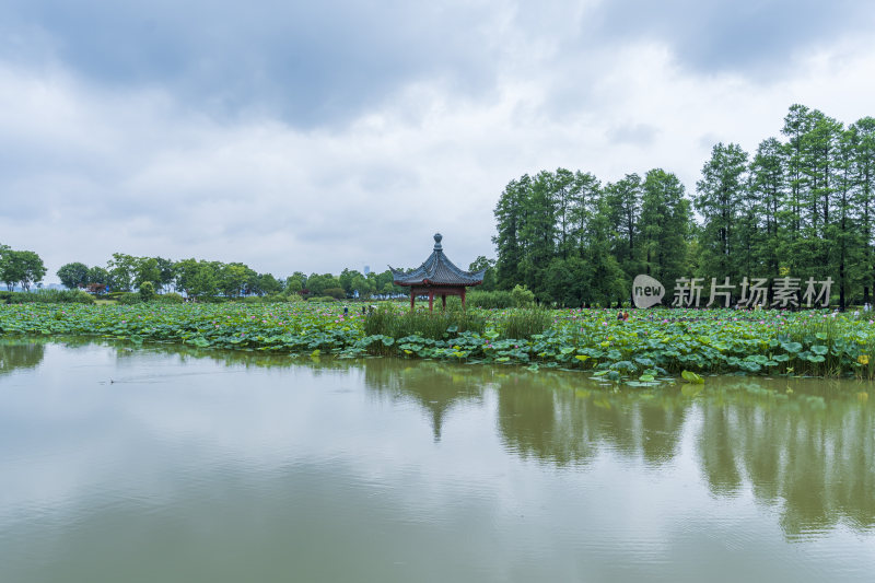 武汉东湖磨山景区风光