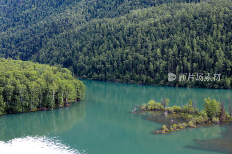 新疆阿勒泰喀纳斯卧龙湾森林河流自然风光