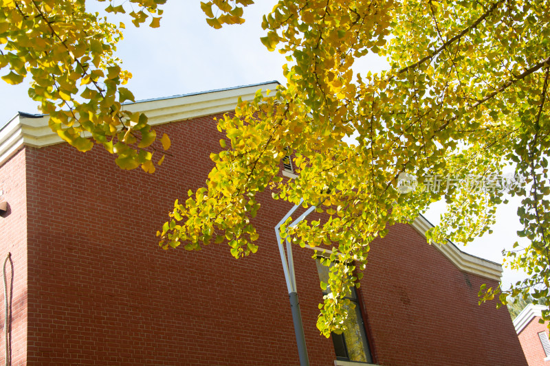 现代大学教学楼