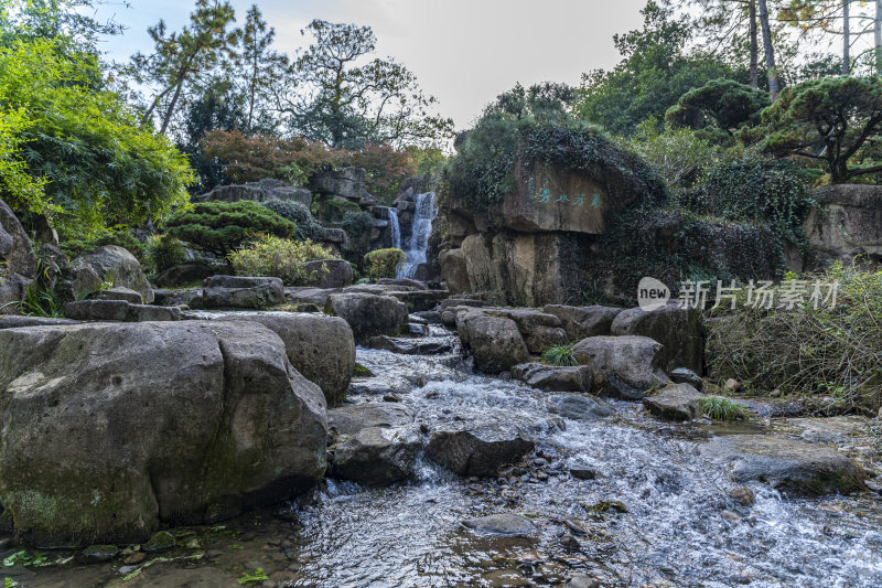 杭州西子湖畔杭州花圃风景