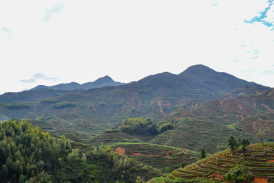 山林间的村庄全景