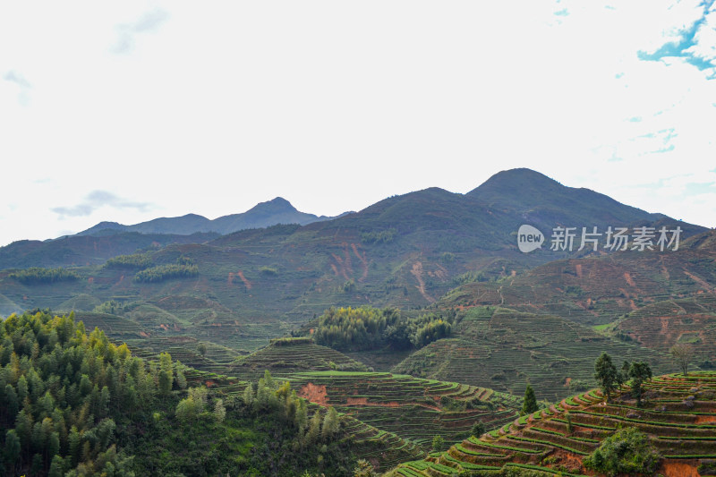 山林间的村庄全景