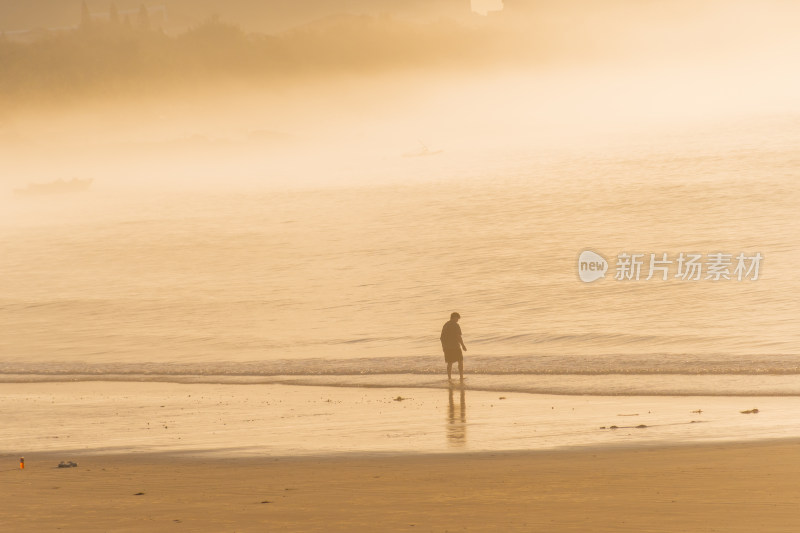 东山岛的夏日