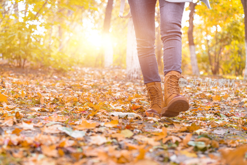 走在满地落叶的银杏树林中的女性脚部特写