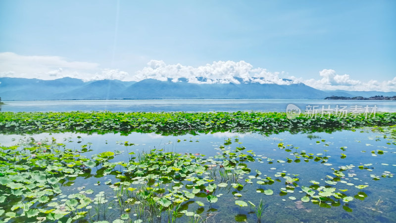 云南大理苍山洱海航拍