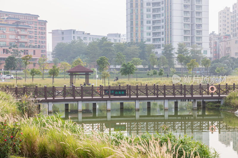 深圳市石岩湿地公园