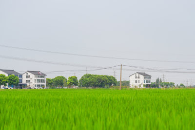 江苏苏州乡村风光