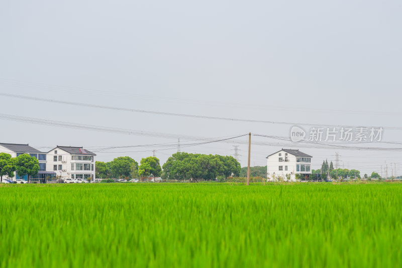 江苏苏州乡村风光