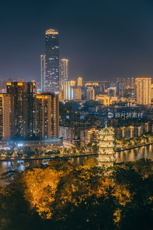 柳州蟠龙山蟠龙塔与地王大厦夜景