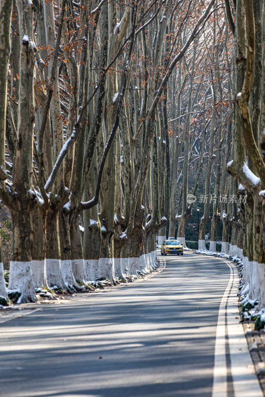 雪后的南京钟山风景区灵谷景区