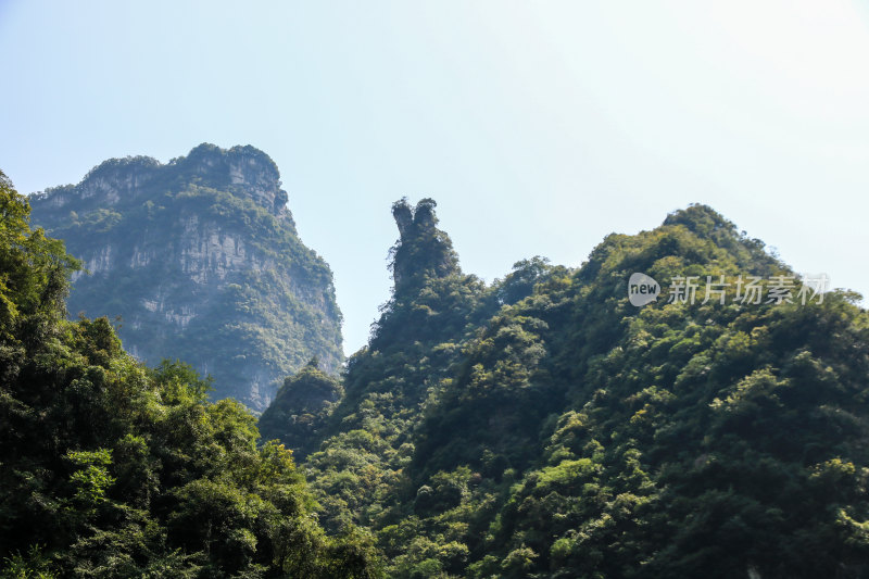 湖北宜昌三峡竹海风景区，自然风光，竹海