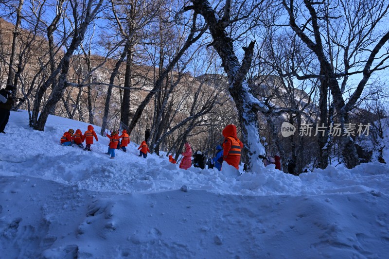 穿红色外套的人在雪林里行走