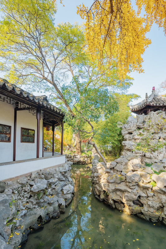 苏州园林怡园庭院水景