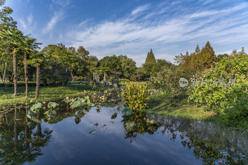 杭州西子湖畔杭州花圃风景