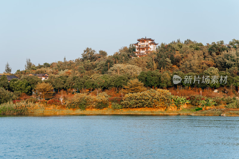 广州花都湿地公园