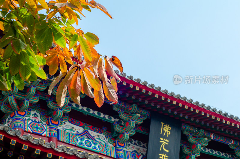 河南洛阳龙门石窟：香山寺秋景