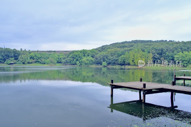 南京钟山景区 前湖 琵琶湖