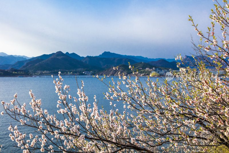 雁栖湖春季风光