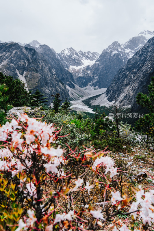 丽江玉龙雪山干河坝山脊线