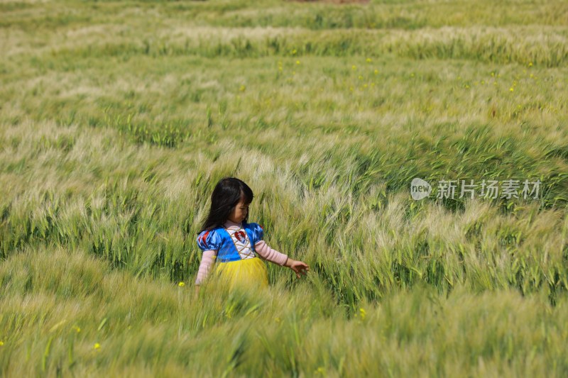 女孩在麦田中玩耍