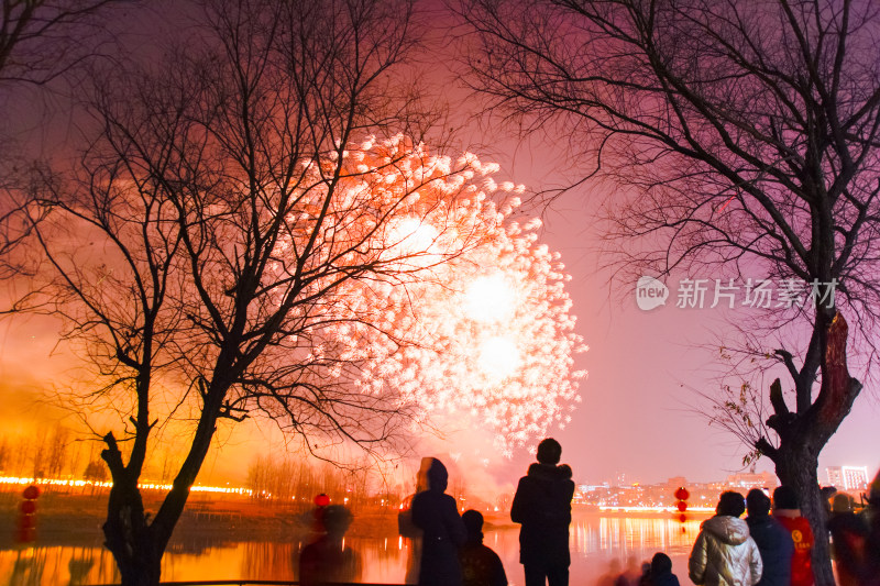 新年烟花下的剪影