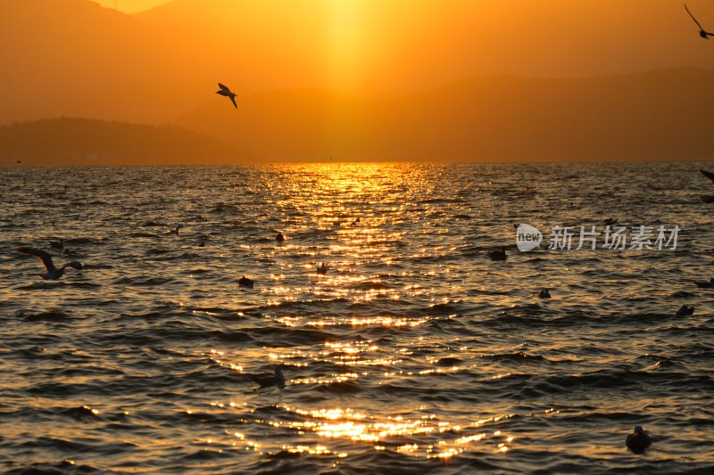 海埂大坝