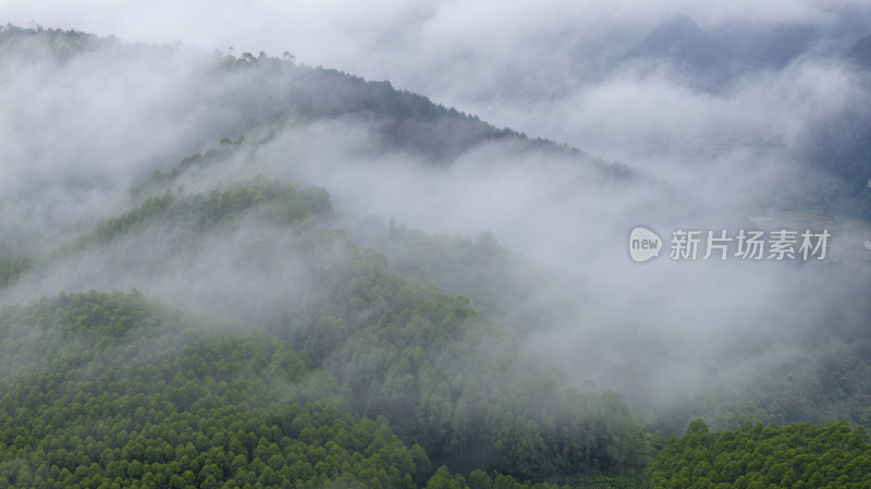 航拍绿色山林云海