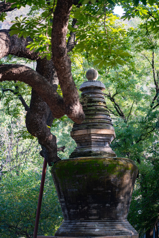 潭柘寺塔林