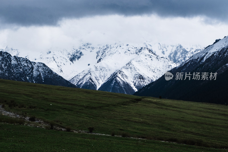 新疆夏塔雪山草原绝美震撼风光