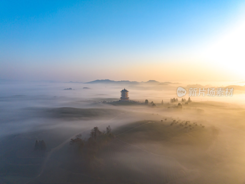 贵州遵义湄潭茶海