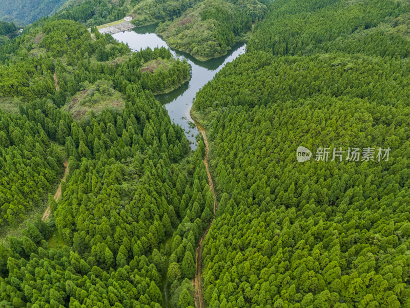 森林大山航拍