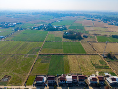 美丽乡村田园