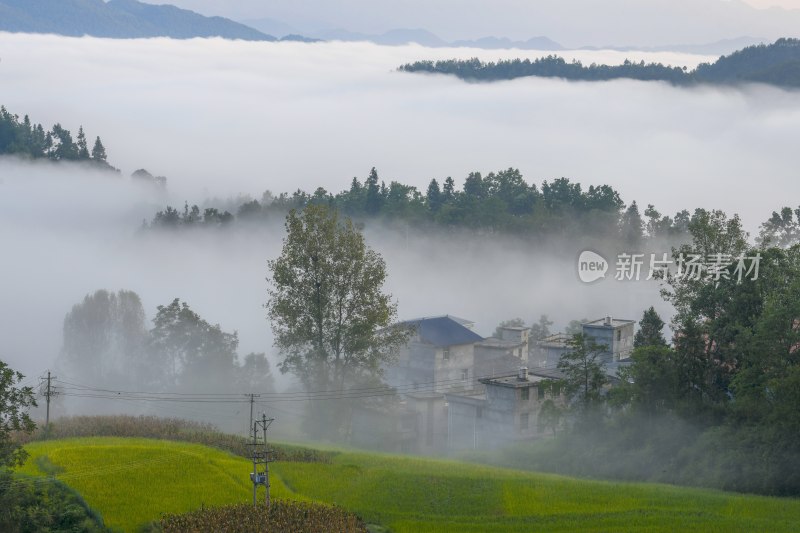 重庆酉阳：丁市初秋风景（二）