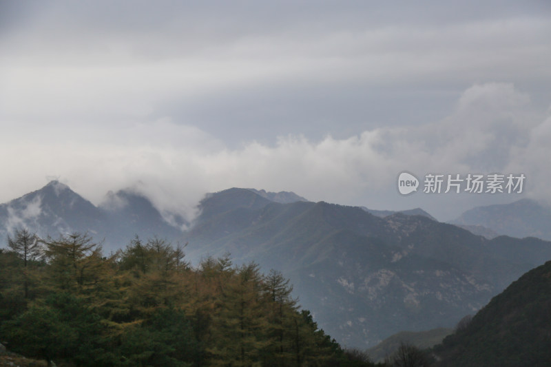 凌晨日出前云雾缭绕的泰山山峰