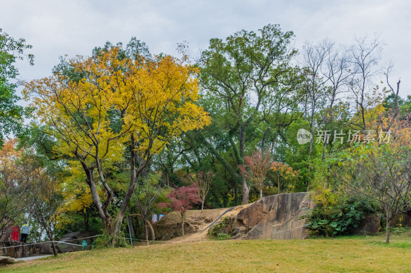 福州乌山历史风貌区秋景