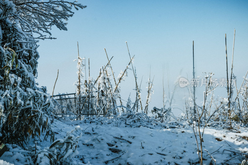 雪地自然风光户外冬季