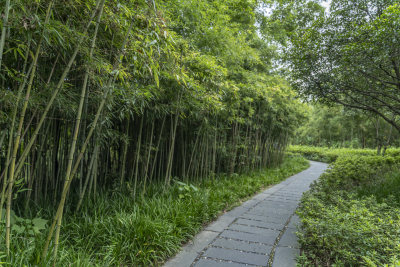 杭州国家西溪湿地公园高宅