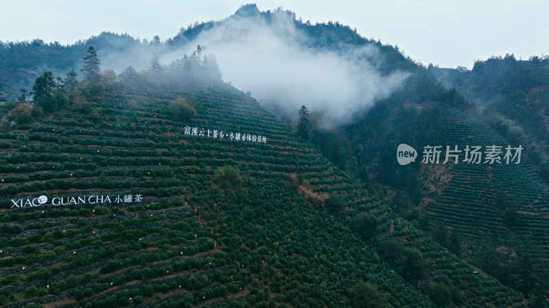 航拍茶园茶山风光