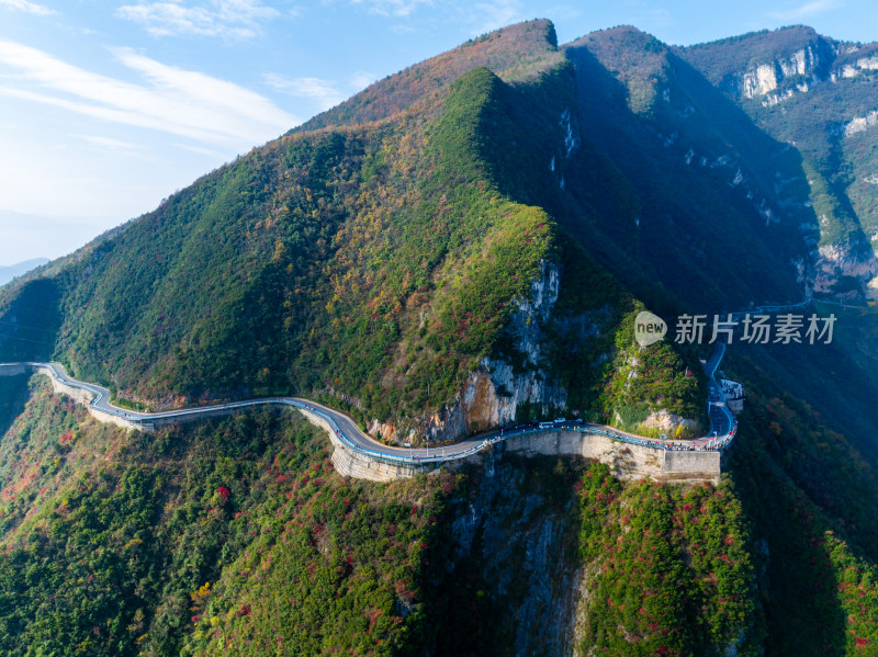 长江三峡巫峡红叶