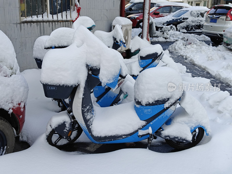 白雪覆盖的共享单车