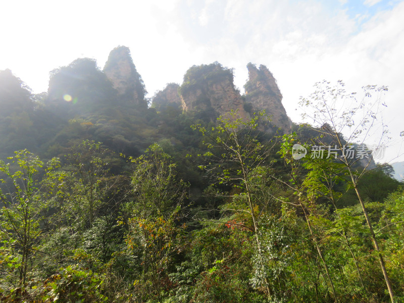 湖南张家界武陵源国家森林公园旅游风光