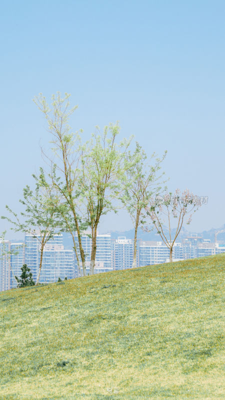 青岛海边公园小清新场景