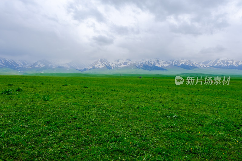 新疆伊犁那拉提雪山草原风光