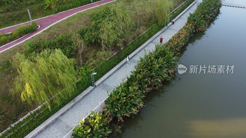 广东东莞：清溪河碧道