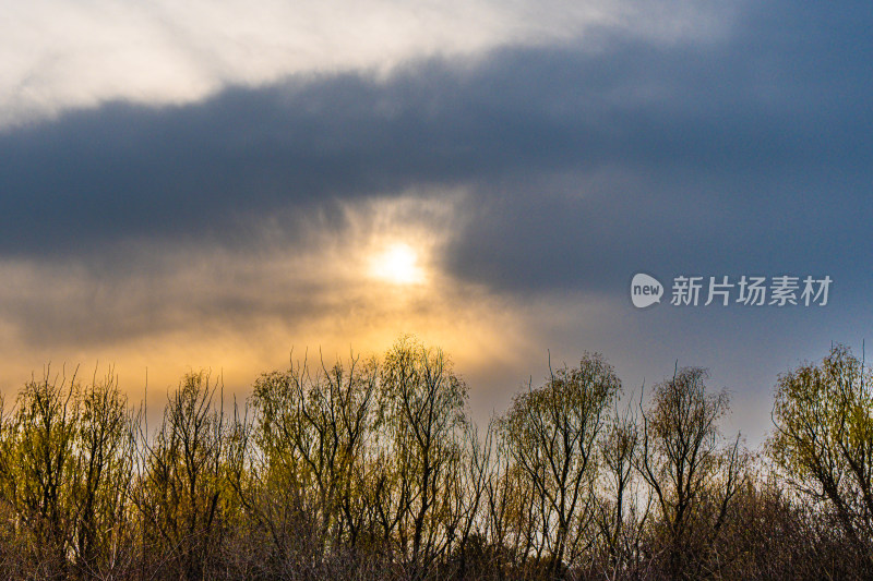 阴天夕阳孤独阴霾