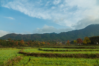 塔川的秋天